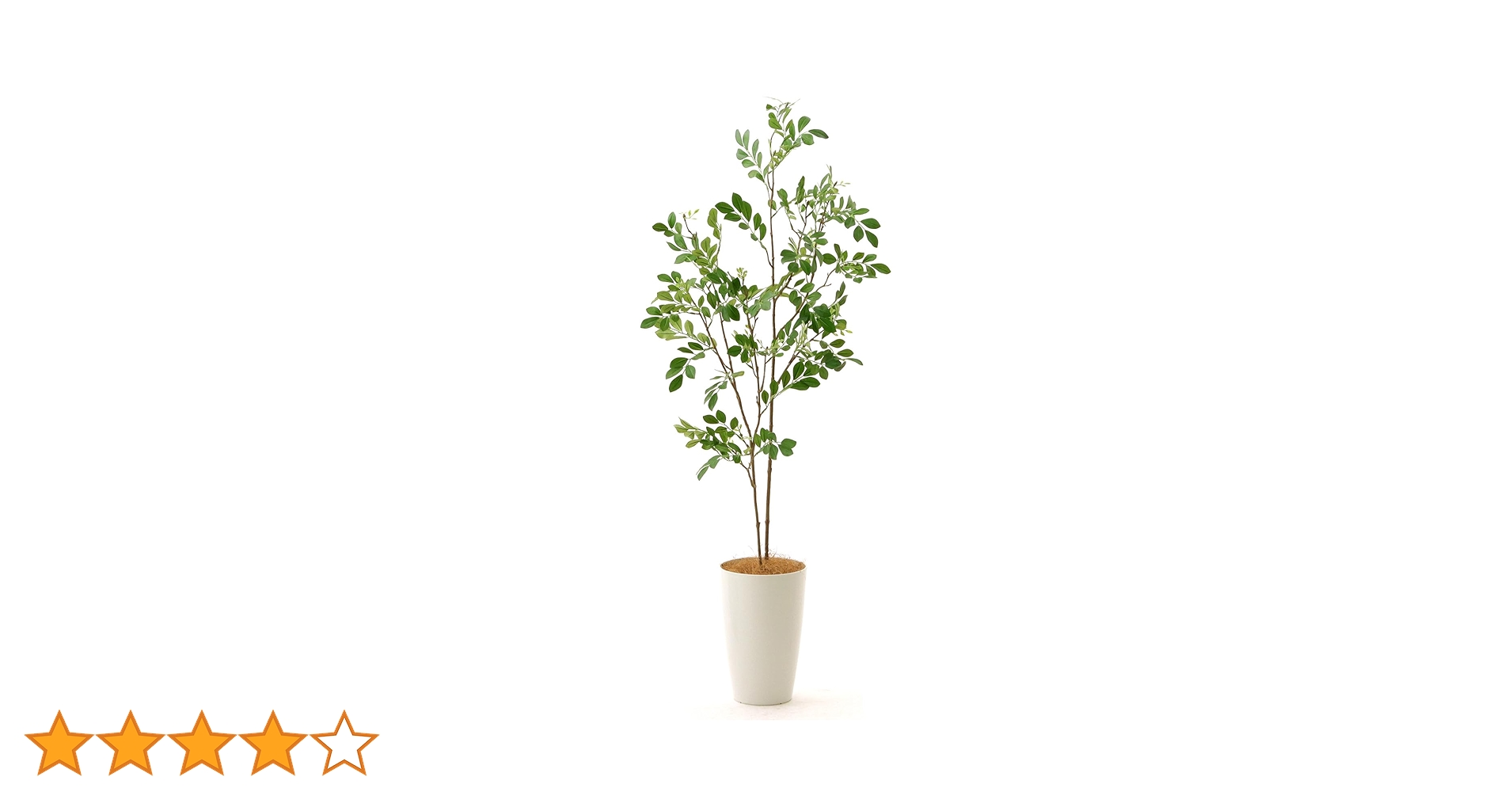 光触媒　人工観葉植物　ウォールグリーン　フェイクグリーン　フラワー　シマトネリコ bst0001-230-z1.jpg